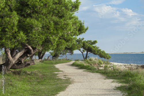 Obraz na płótnie Croatia nature w salonie