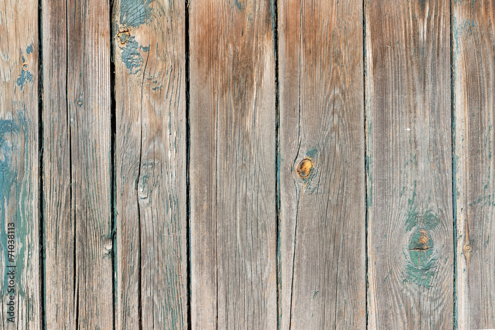 Naklejka premium The old wood texture with natural patterns