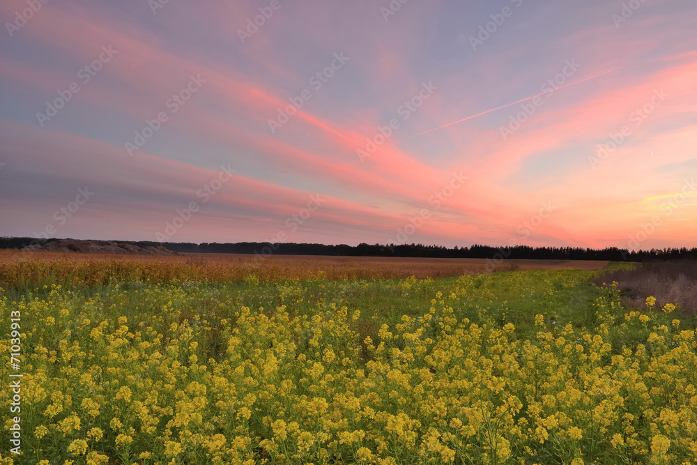 Закат в осеннем поле