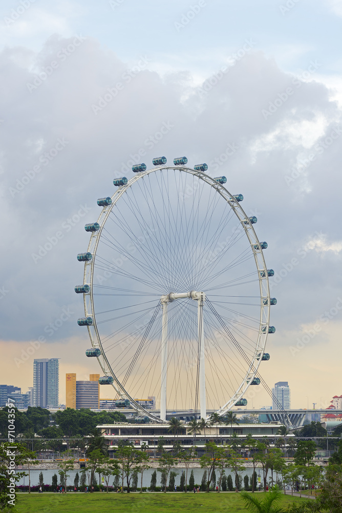 Fototapeta premium The biggest Ferris wheel