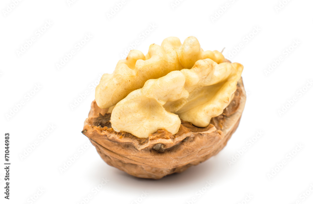 walnut isolated