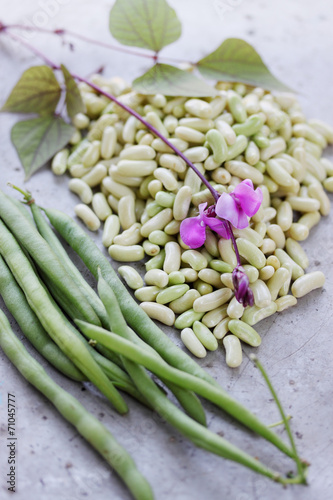 bean pods serge photo