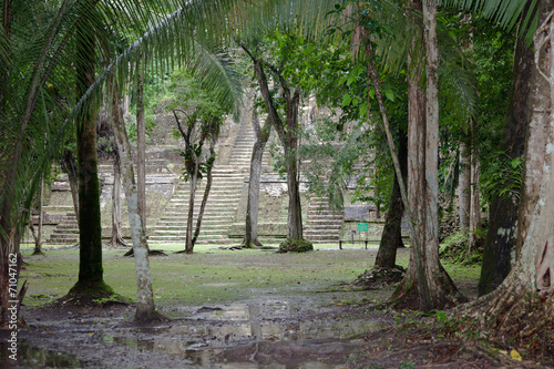 Jungle with Temple