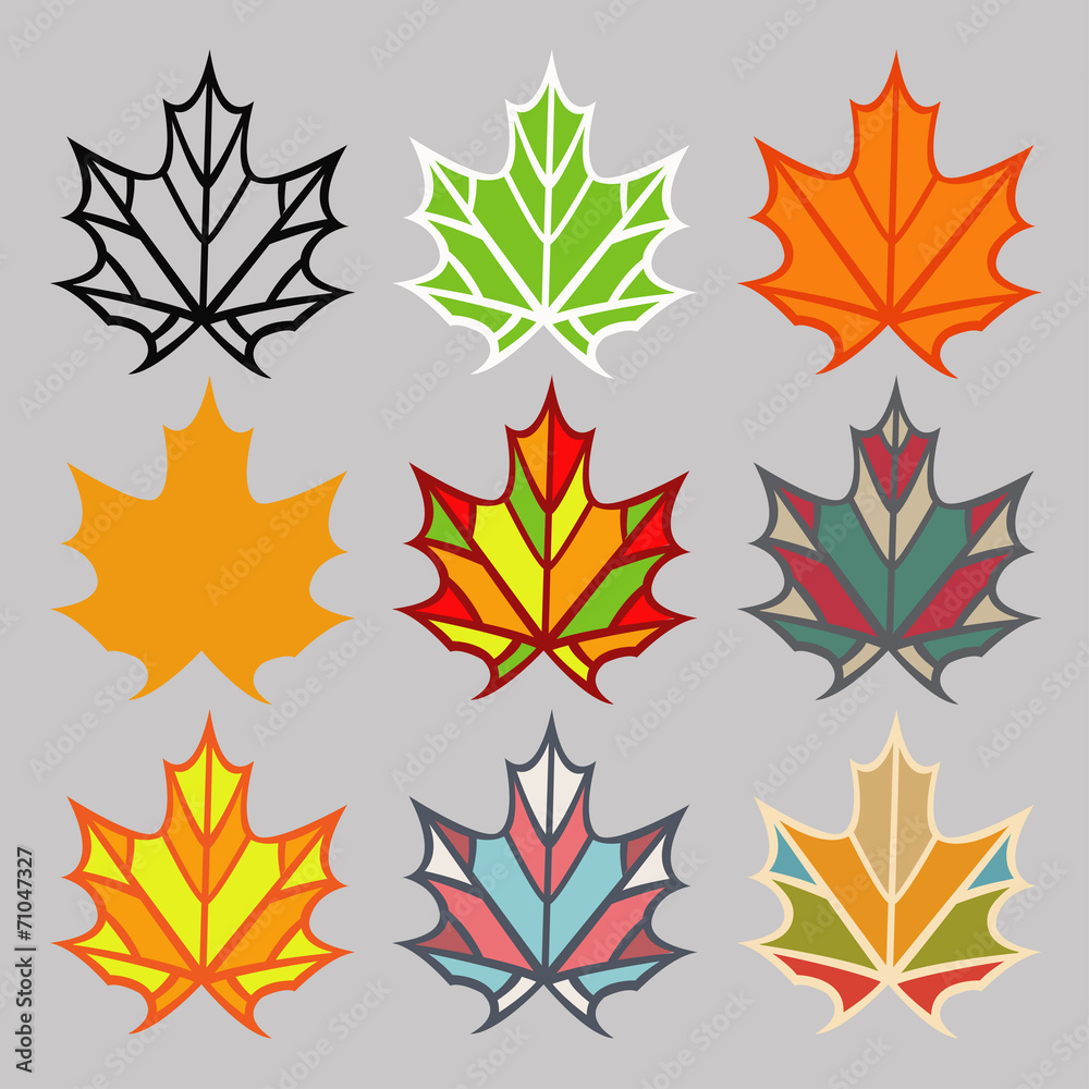 Set of different leaves Set of different leaves