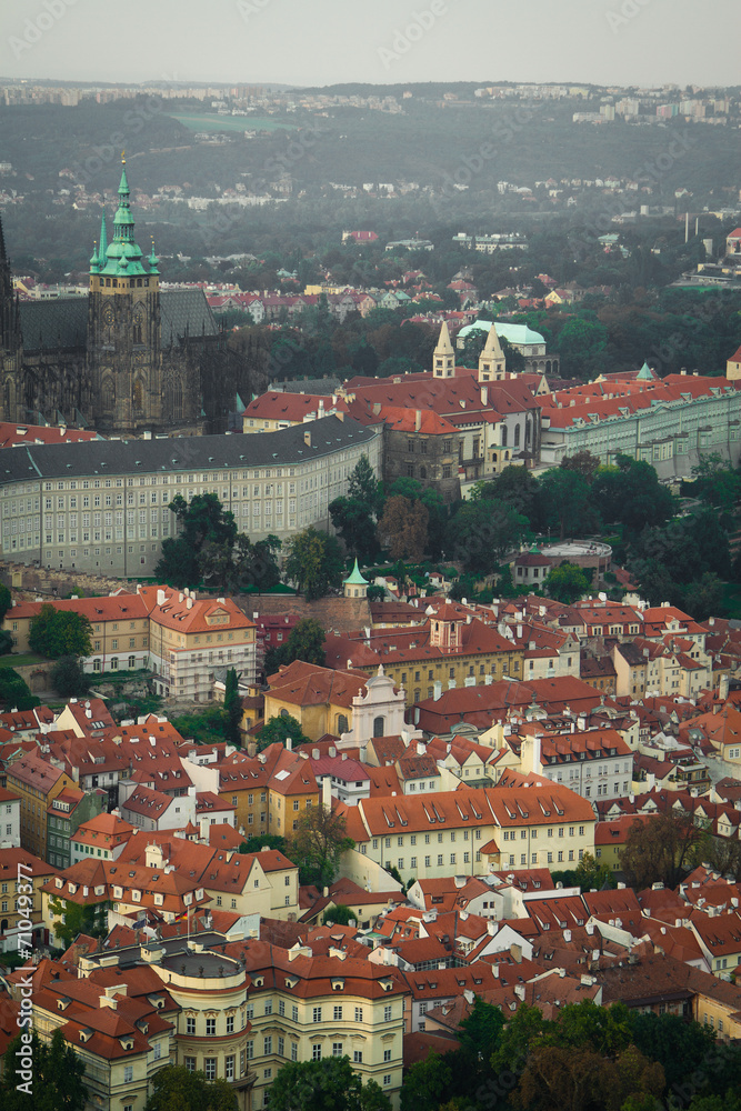 Fototapeta premium Prague through the eyes of birds