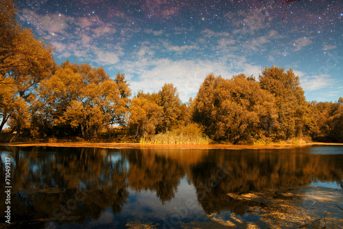 Fototapeta Naklejka Na Ścianę i Meble -  golden autumn on the lake.