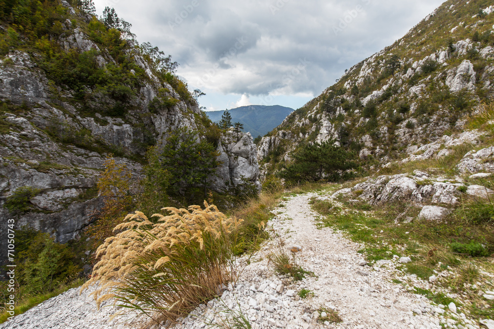 Obraz premium Scenic hiking path in the mountains in autumn