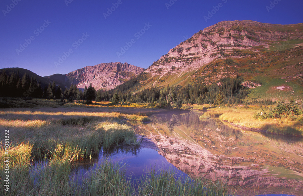 Small Reed-Filled Lake Surrounded By Mountains