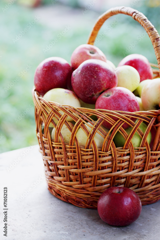 apples on the table apples on the table