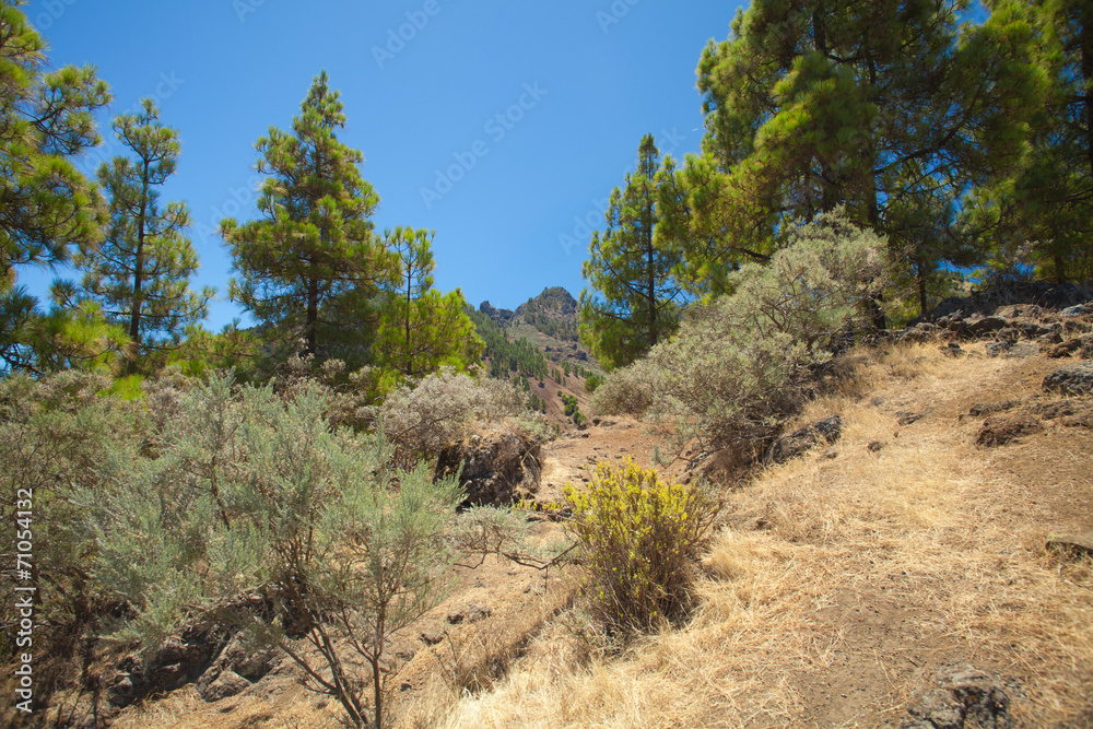 Gran Canaria, inland