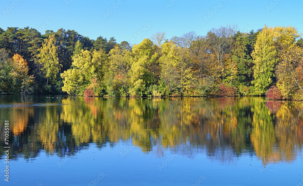 Trees on the shore of lake in autumn Trees on the shore of lake in autumn
