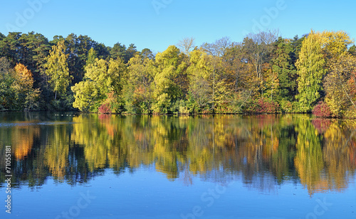 Trees on the shore of lake in autumn