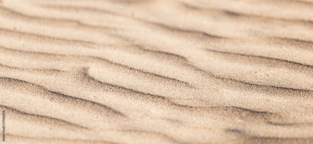 background of sand background of sand