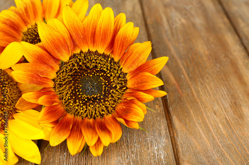 Fototapeta Naklejka Na Ścianę i Meble -  Beautiful sunflowers on wooden background