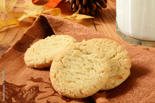 Holiday sugar cookies