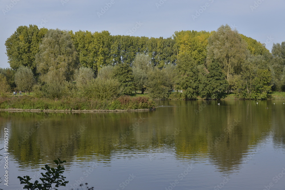 Paysage automnale au grand étang de Neerpede