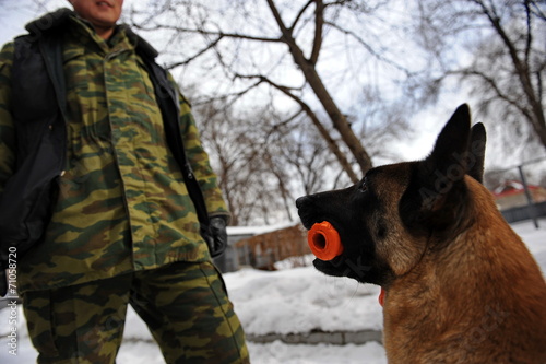 Police dog training. photo