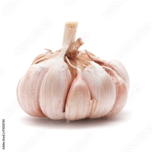 garlic isolated