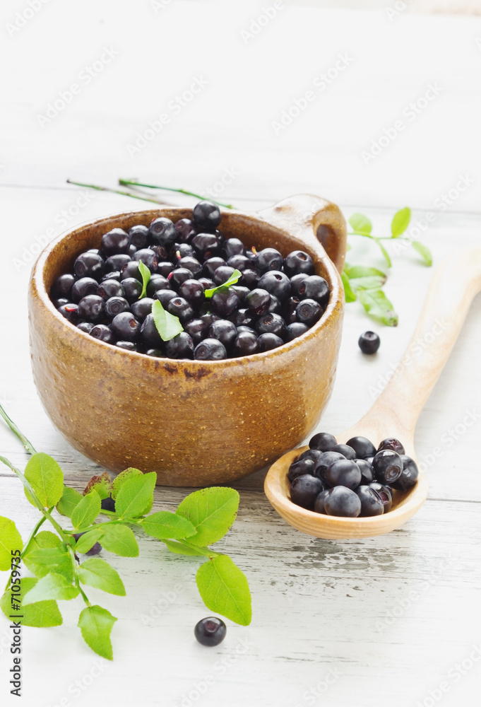 blueberries in a cup blueberries in a cup