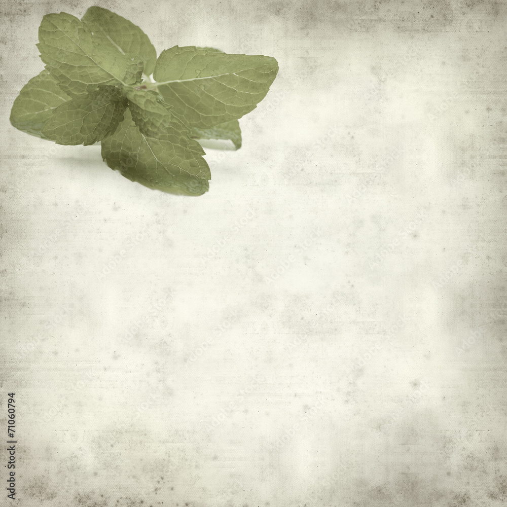textured old paper background textured old paper background