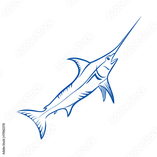Blue Marlin fish