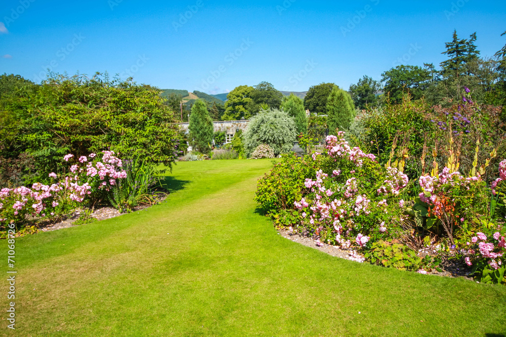 Beautiful landscaped summer garden