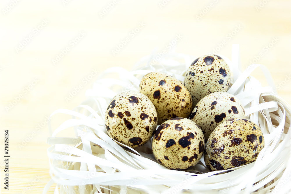 Obraz premium Quail eggs