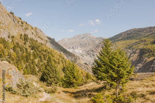 Belalp, Dorf, Aletschgletscher, Panoramaweg, Wallis, Schweiz