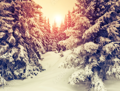 wonderful winter landscape © Leonid Tit