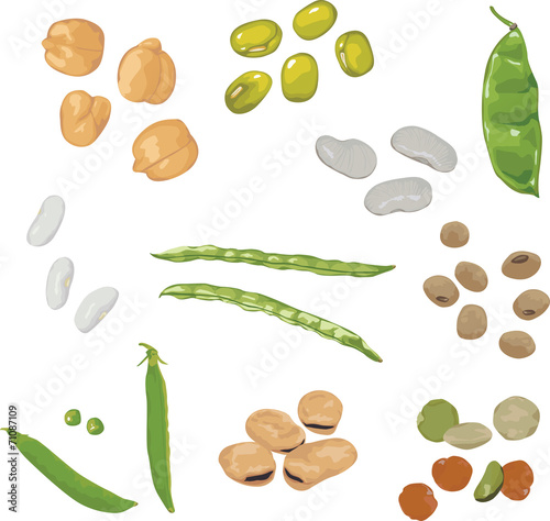 set of different legumes photo