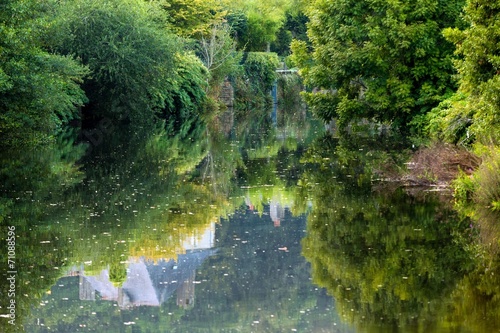 Forest reflecting on river photo