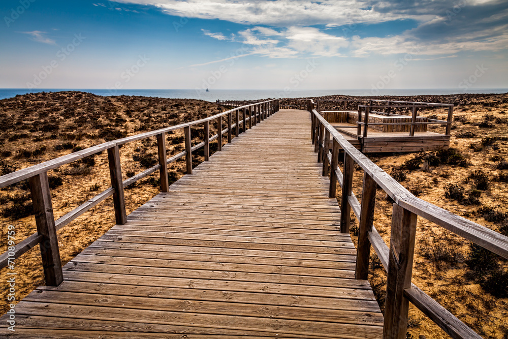 Obraz premium The way to the beach