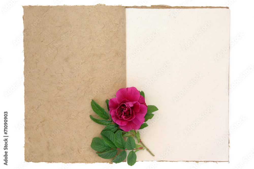 Love Letter Love Letter