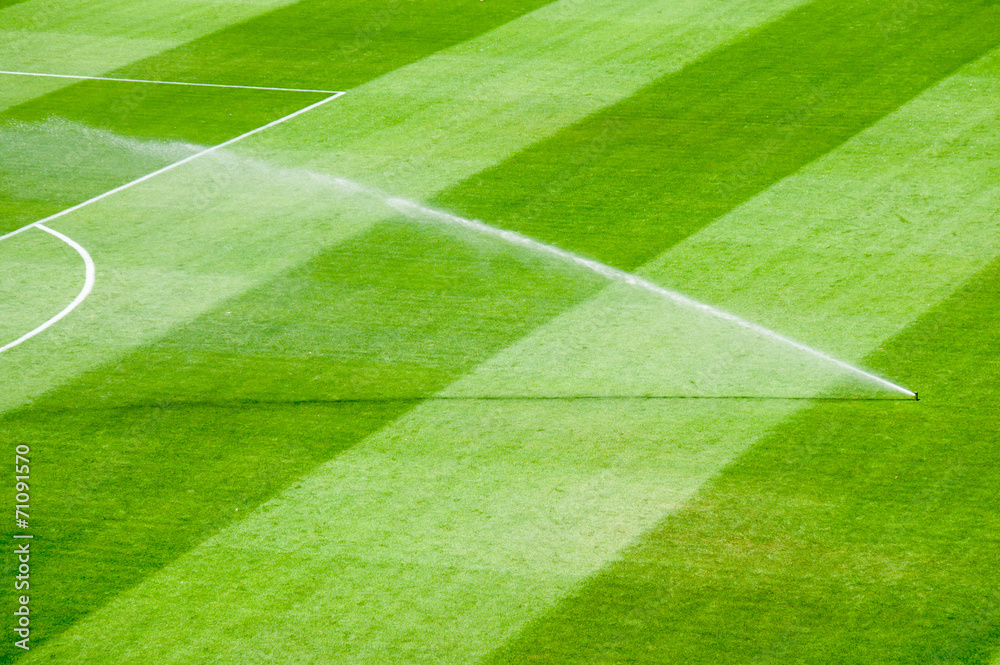 Obraz premium Irrigation turf