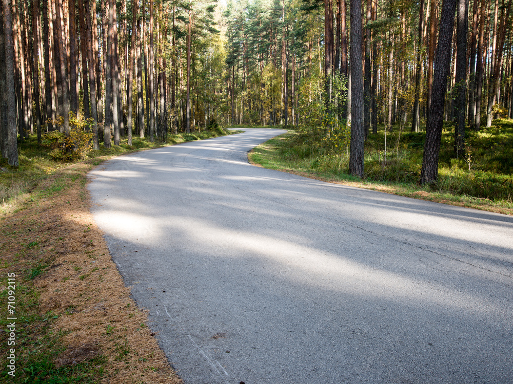 Fototapeta premium Morning sun beams over autumn road