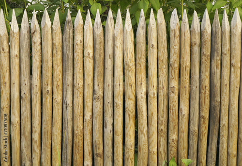 Solid picket fence of sharp stakes photo