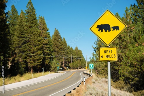 Fototapeta Naklejka Na Ścianę i Meble -  Watch For Bears Street Sign