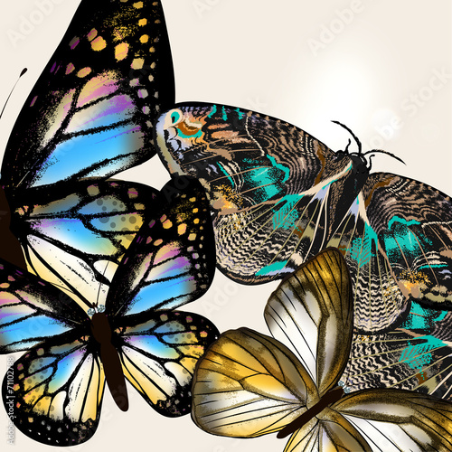 Fashion background with vector butteflies