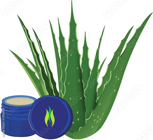 crema di aloe
