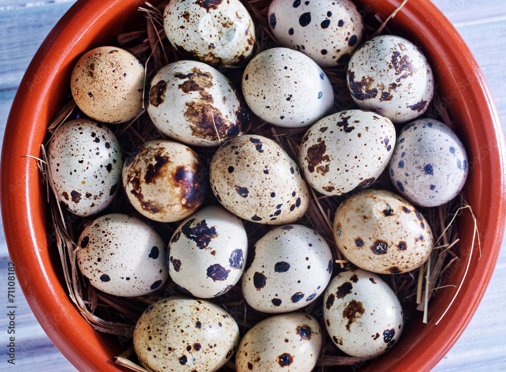 quail eggs quail eggs