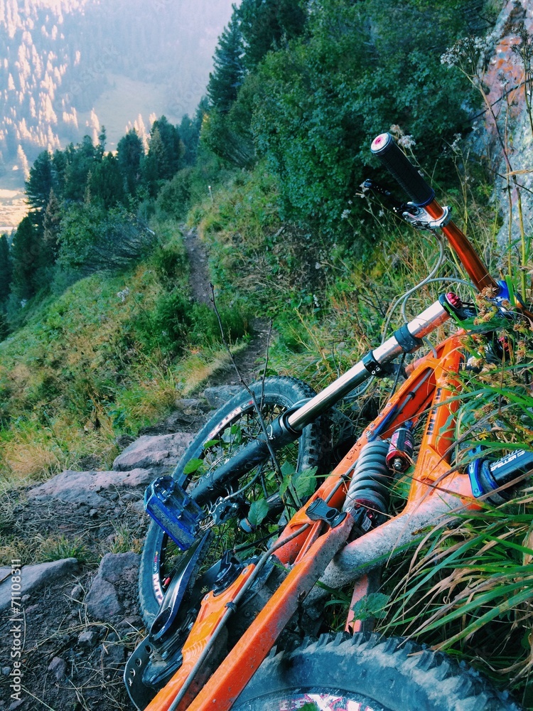 Obraz premium Riposo sul sentiero