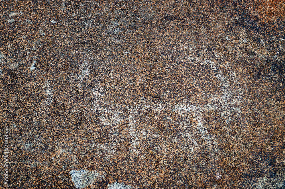 Fototapeta premium Ancient petroglyph on the stone