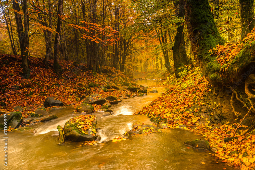 Autumn landscape