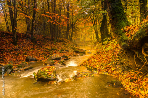 Obraz na płótnie Autumn landscape w salonie