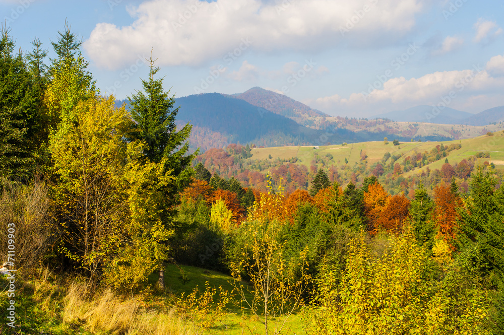 Obraz premium Autumn landscape