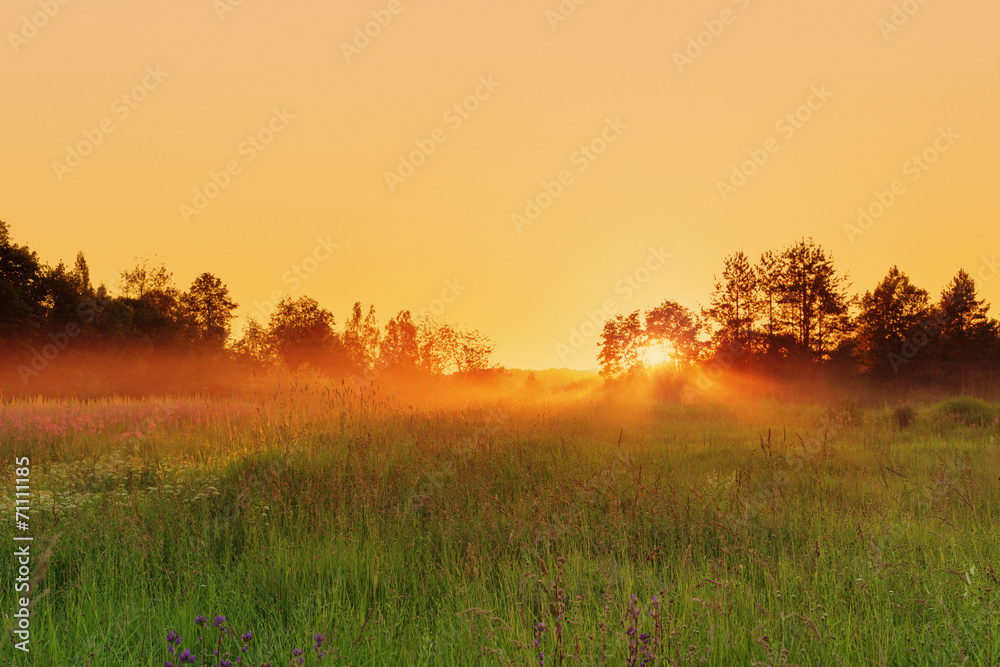 countryside meadow in beautiful sunset