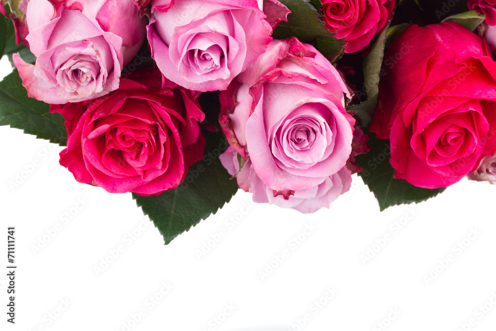 Fototapeta premium border of pink flowers close up