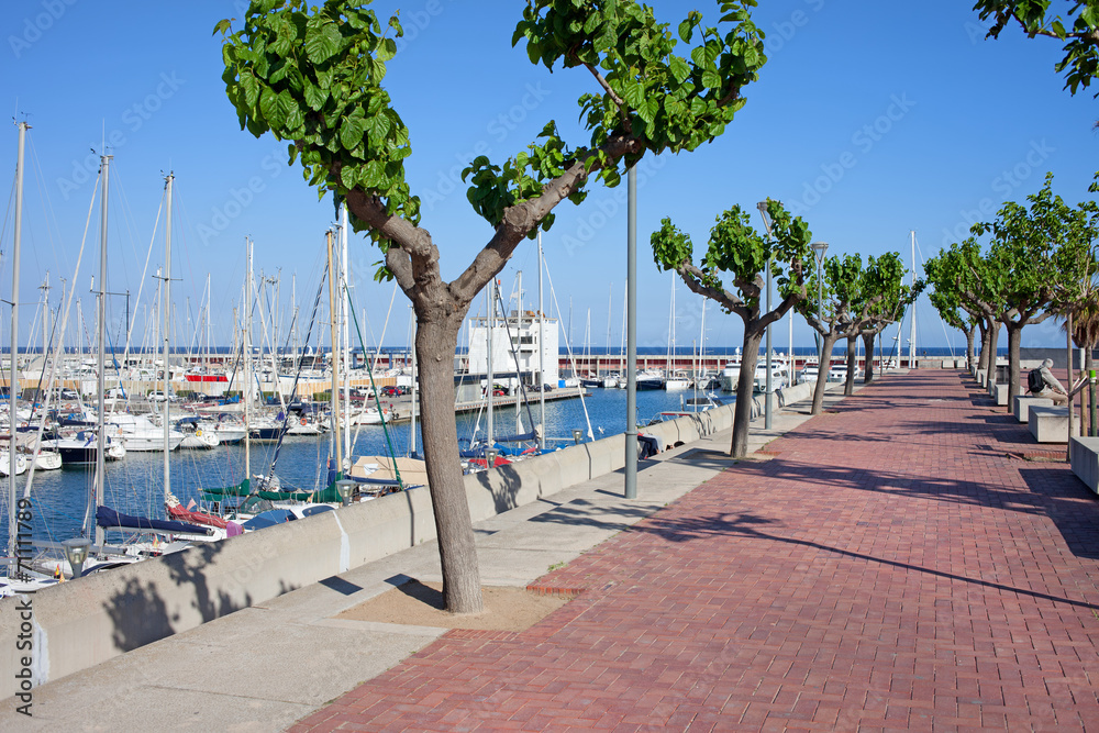 Port Olimpic Promenade in Barcelona