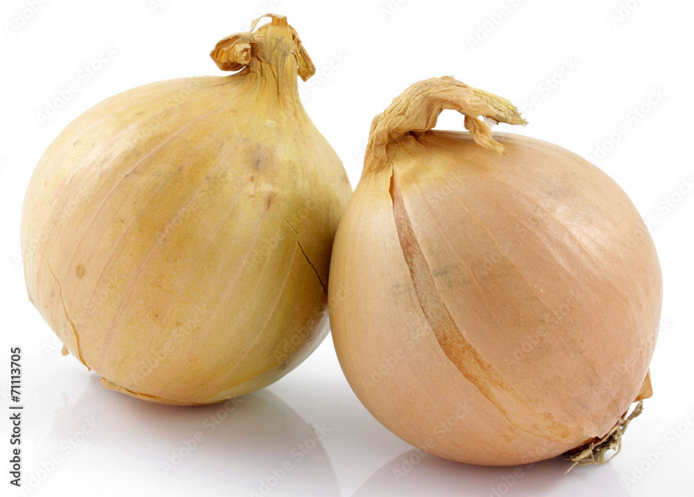 Fototapeta premium cebula