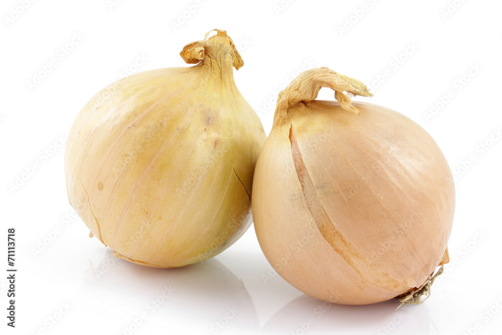 Fototapeta premium cebula